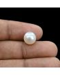 South Sea Pearl (Moti) 6.94 Carat 