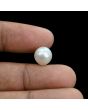 South Sea Pearl (Moti) 6.94 Carat 