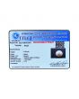 South Sea Pearl (Moti) 6.94 Carat 