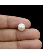 South Sea Pearl (Moti) 6.02 Carat 