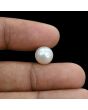 South Sea Pearl (Moti) 6.02 Carat 