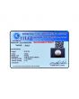 South Sea Pearl (Moti) 6.02 Carat 