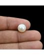 South Sea Pearl (Moti) 6.35 Carat 