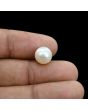 South Sea Pearl (Moti) 6.35 Carat 
