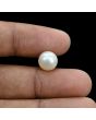 South Sea Pearl (Moti) 6.35 Carat 