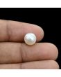 South Sea Pearl (Moti) 5.1 Carat 