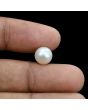 South Sea Pearl (Moti) 5.1 Carat 