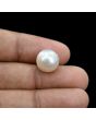 South Sea Pearl (Moti) 12.11 Carat 