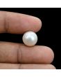 South Sea Pearl (Moti) 12.11 Carat 