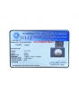 South Sea Pearl (Moti) 12.11 Carat 