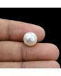 South Sea Pearl (Moti) 8.47 Carat 