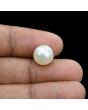 South Sea Pearl (Moti) 8.47 Carat 