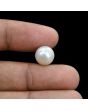 South Sea Pearl (Moti) 8.47 Carat 