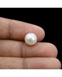 South Sea Pearl (Moti) 6.44 Carat 