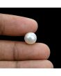 South Sea Pearl (Moti) 6.44 Carat 