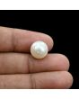 South Sea Pearl (Moti) 12.26 Carat 