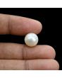 South Sea Pearl (Moti) 12.26 Carat 
