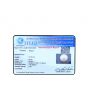 South Sea Pearl (Moti) 12.26 Carat 