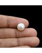 South Sea Pearl (Moti) 6.92 Carat 