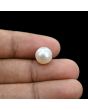 South Sea Pearl (Moti) 6.92 Carat 