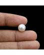 South Sea Pearl (Moti) 6.92 Carat 