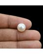 South Sea Pearl (Moti) 7.07 Carat 