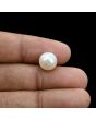 South Sea Pearl (Moti) 7.07 Carat 