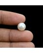 South Sea Pearl (Moti) 7.07 Carat 