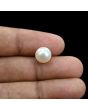South Sea Pearl (Moti) 5.99 Carat 