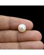 South Sea Pearl (Moti) 5.99 Carat 