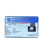 South Sea Pearl (Moti) 5.99 Carat 