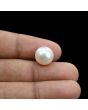 South Sea Pearl (Moti) 9.68 Carat 