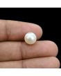 South Sea Pearl (Moti) 5.94 Carat 