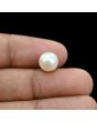 South Sea Pearl (Moti) 5.94 Carat 