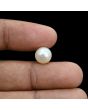 South Sea Pearl (Moti) 5.94 Carat 
