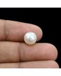 South Sea Pearl (Moti) 5.88 Carat 