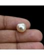 South Sea Pearl (Moti) 6.66 Carat 