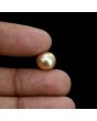 South Sea Pearl (Moti) 6.36 Carat 