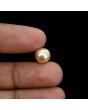 South Sea Pearl (Moti) 4.86 Carat 