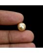 South Sea Pearl (Moti) 6.26 Carat 
