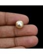 South Sea Pearl (Moti) 5.62 Carat 