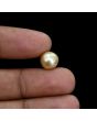 South Sea Pearl (Moti) 5.62 Carat 