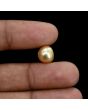South Sea Pearl (Moti) 6.34 Carat 