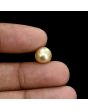 South Sea Pearl (Moti) 5.71 Carat 
