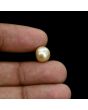 South Sea Pearl (Moti) 5.78 Carat 