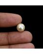 South Sea Pearl (Moti) 6.14 Carat 