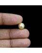 South Sea Pearl (Moti) 5.33 Carat 