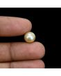 South Sea Pearl (Moti) 5.32 Carat 