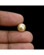 South Sea Pearl (Moti) 6.11 Carat 