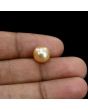 South Sea Pearl (Moti) 6.2 Carat
